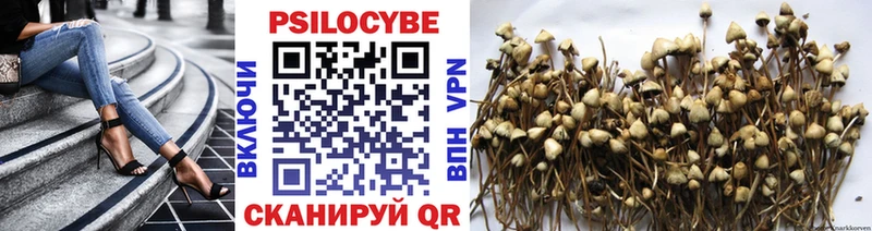 магазин продажи наркотиков OMG рабочий сайт Псилоцибиновые грибы GOLDEN TEACHER Жигулёвск